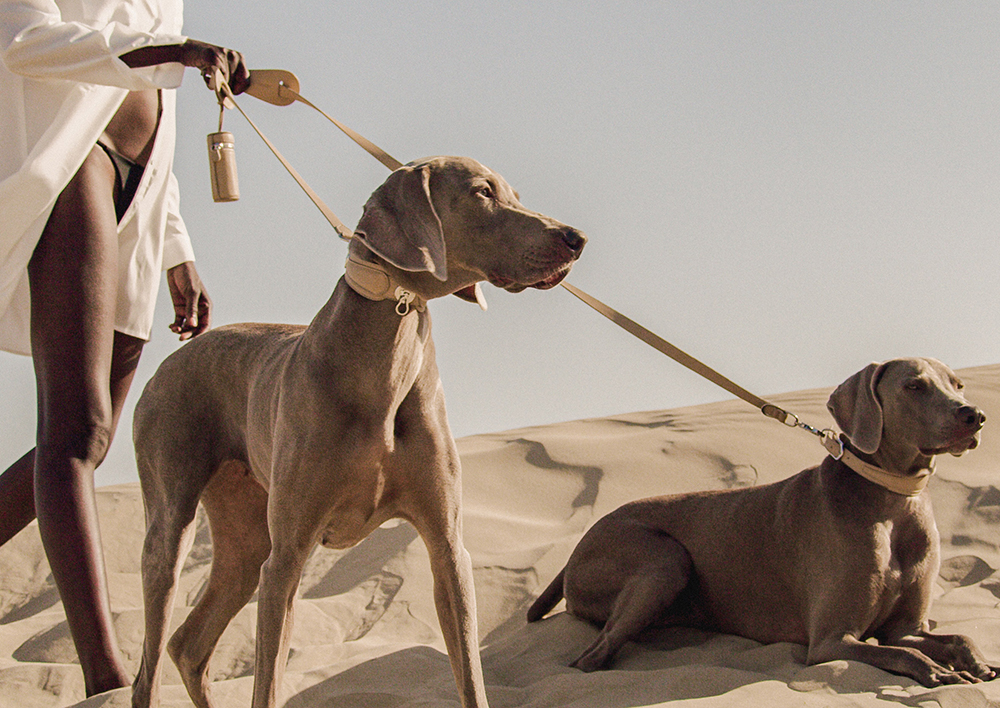 Pagerie_dog_accessories_pets_design_kutya_nyakörv_hám_póráz_luxus