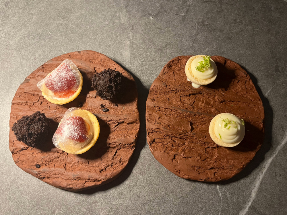noel-zagreb-zagrab-fine-dining-restaurant-etterem-michelin-16