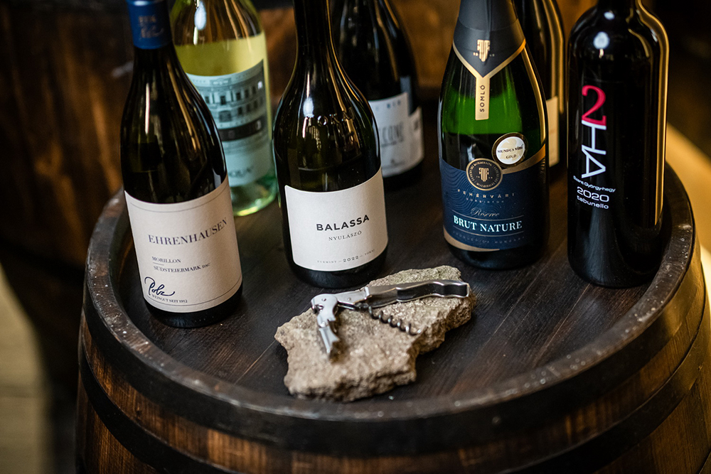 hotel-vinifera-wine-spa-borbar-kostolo-4