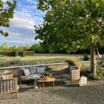 tectona-grandis-daalarna-garden-szuletesnap-25-dolce-vita-parti-szentendre-1