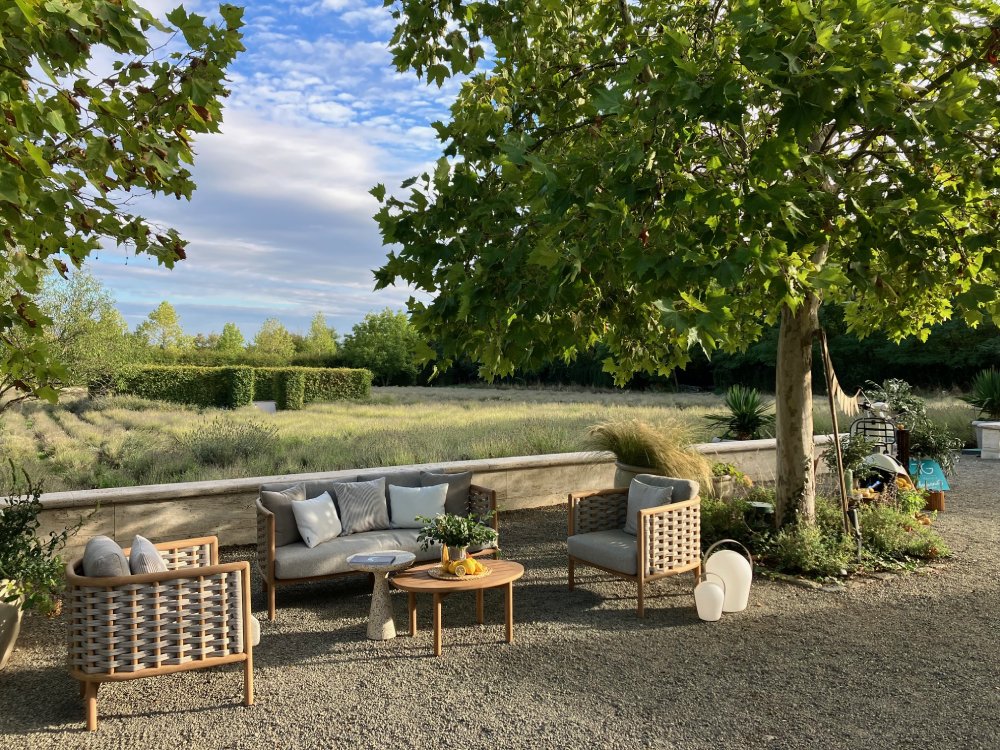 tectona-grandis-daalarna-garden-szuletesnap-25-dolce-vita-parti-szentendre-1