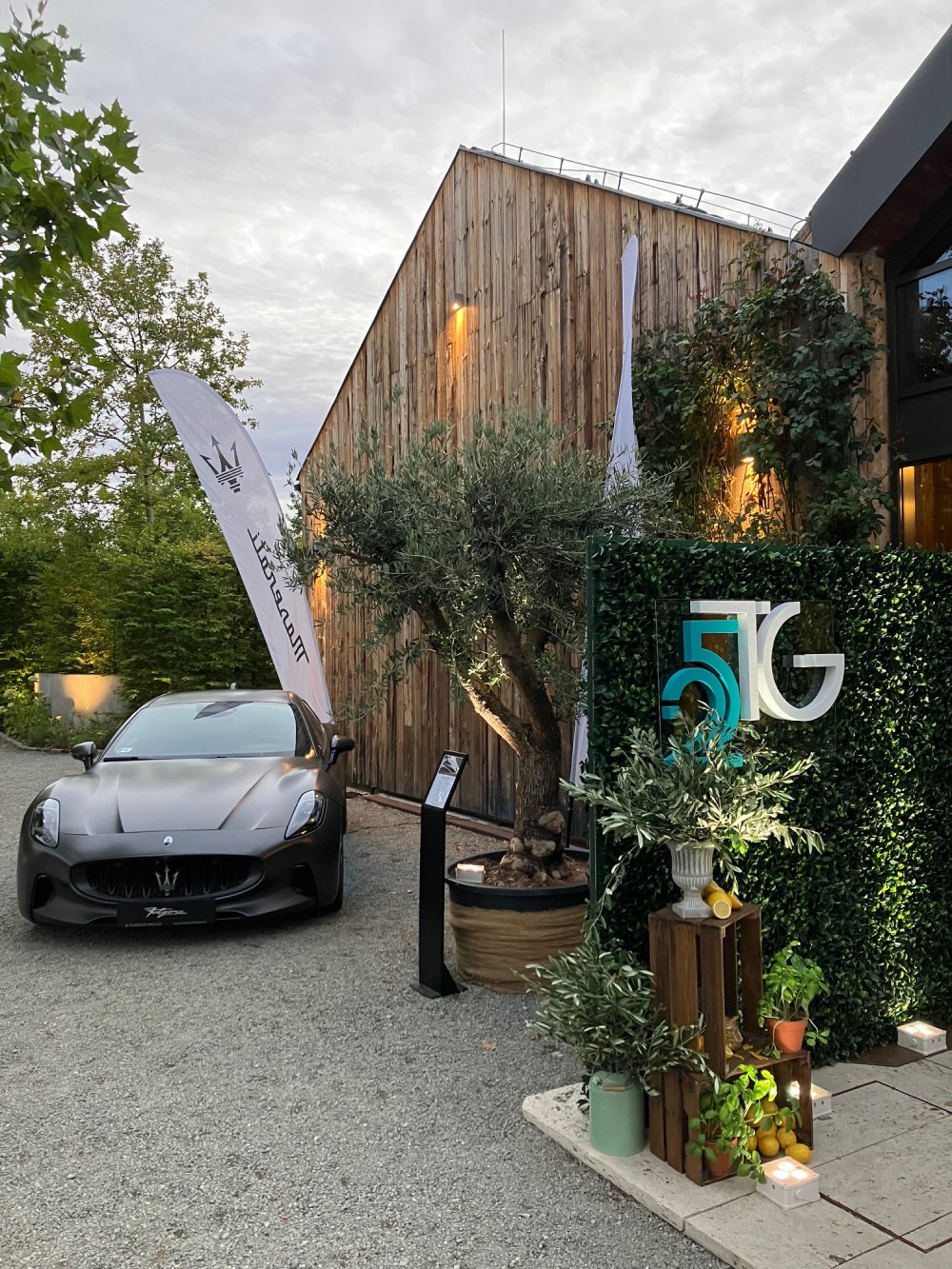 tectona-grandis-daalarna-garden-szuletesnap-25-dolce-vita-parti-szentendre-2