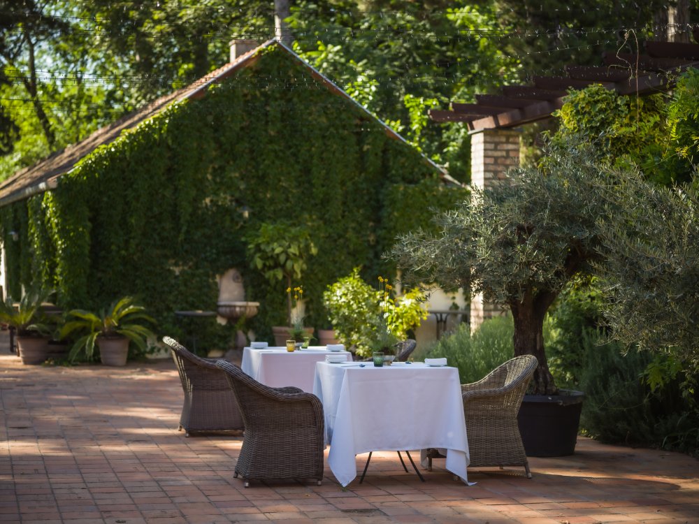 botanica-hotel-szalloda-danszentmiklos-fine-dining-michelin-menu-jubileum-2